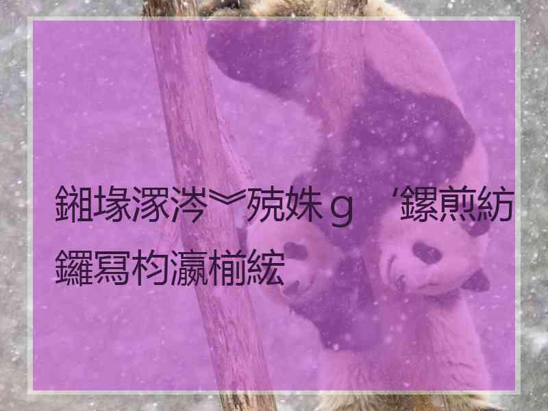 鎺堟潈涔︾殑姝ｇ‘鏍煎紡鑼冩枃瀛椾綋