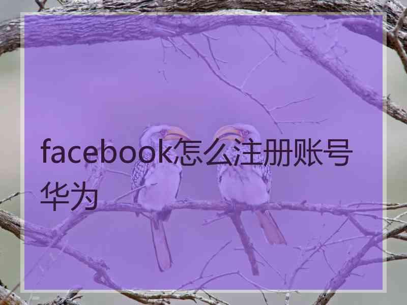 facebook怎么注册账号华为