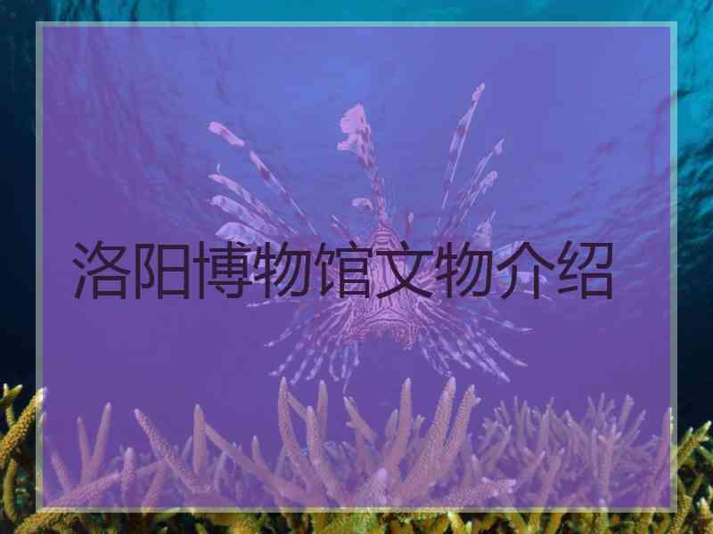 洛阳博物馆文物介绍