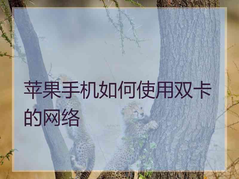 苹果手机如何使用双卡的网络