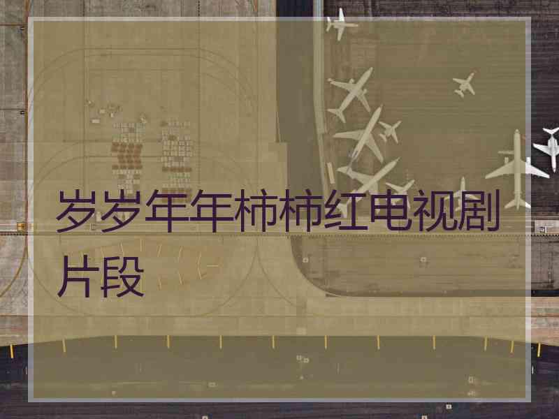 岁岁年年柿柿红电视剧片段