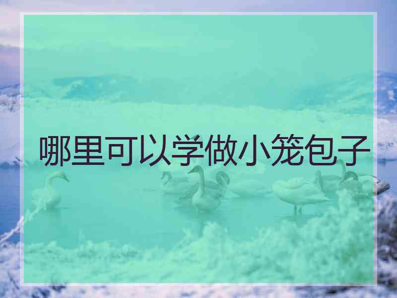 哪里可以学做小笼包子