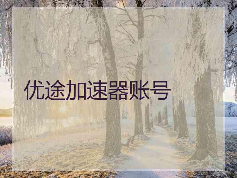 优途加速器账号