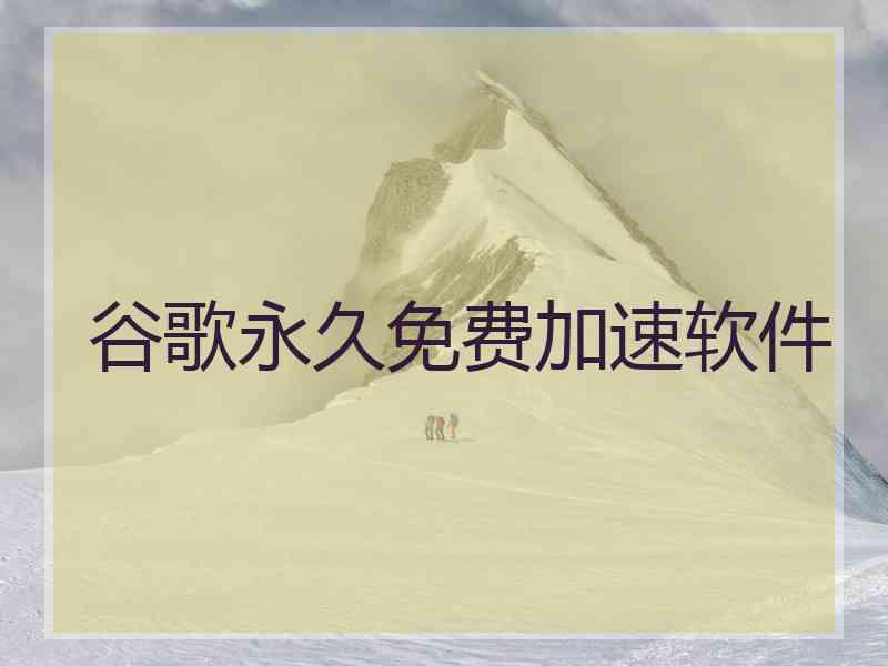 谷歌永久免费加速软件
