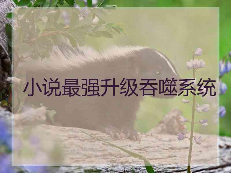 小说最强升级吞噬系统