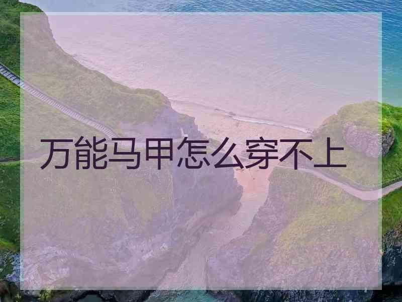 万能马甲怎么穿不上