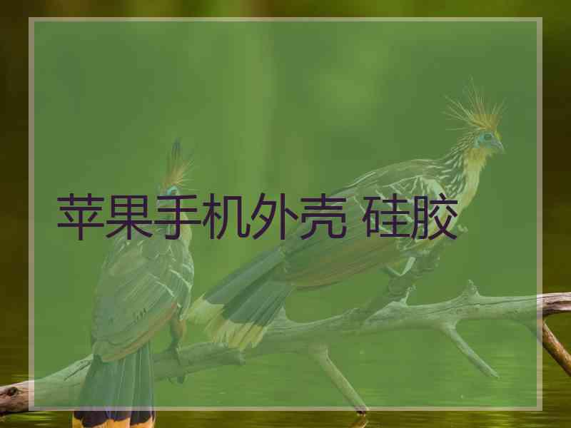 苹果手机外壳 硅胶