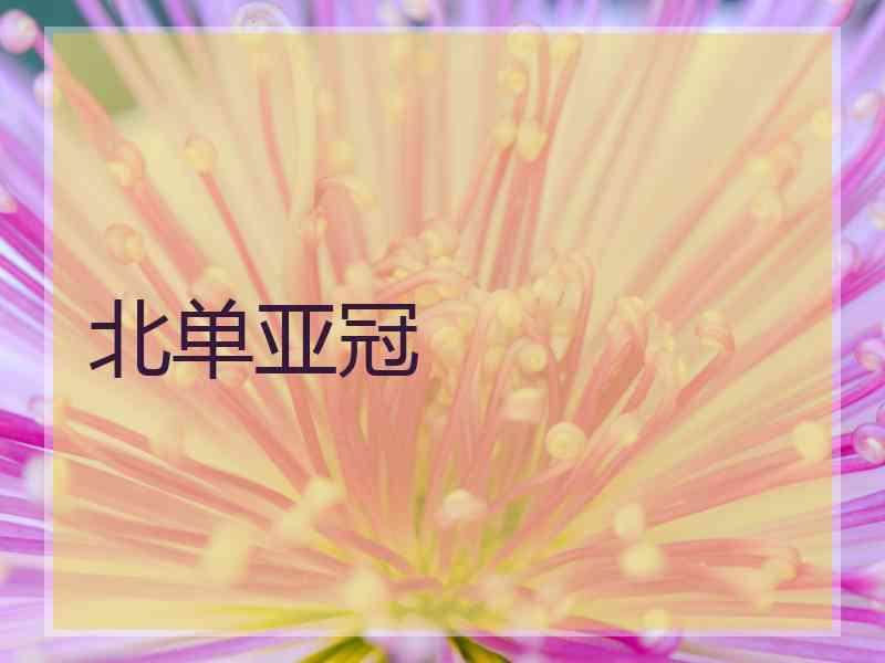北单亚冠