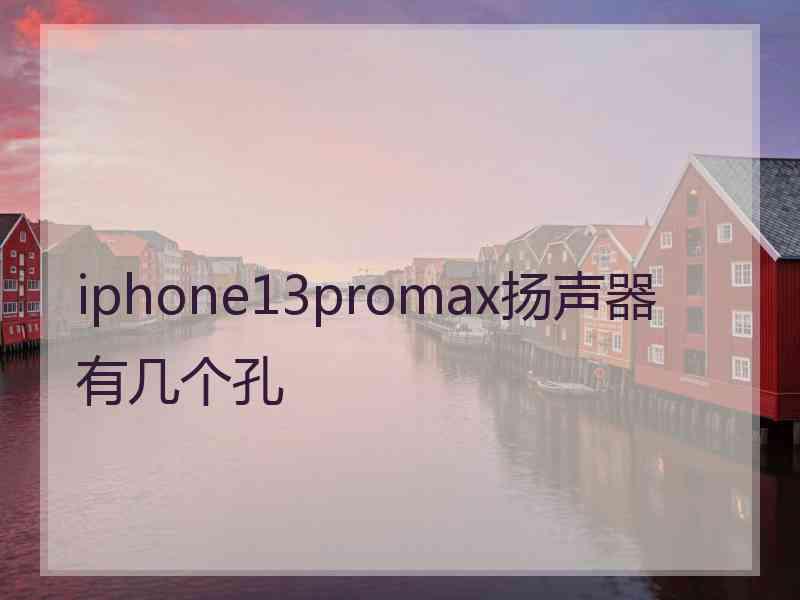 iphone13promax扬声器有几个孔