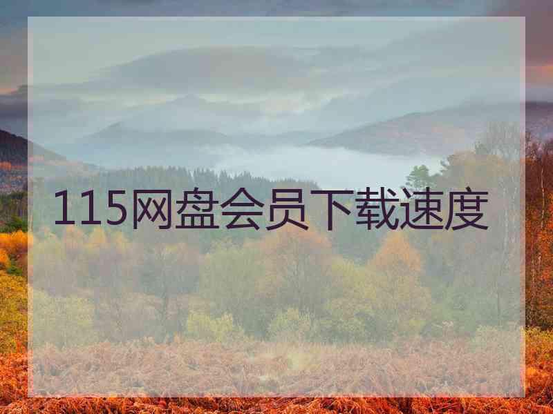 115网盘会员下载速度