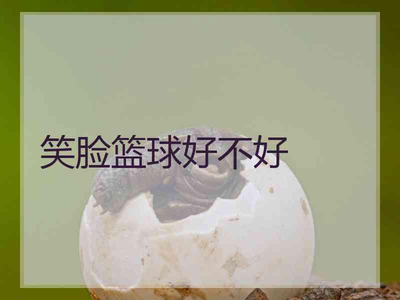 笑脸篮球好不好