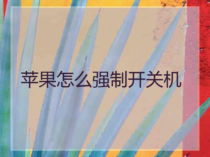 苹果怎么强制开关机