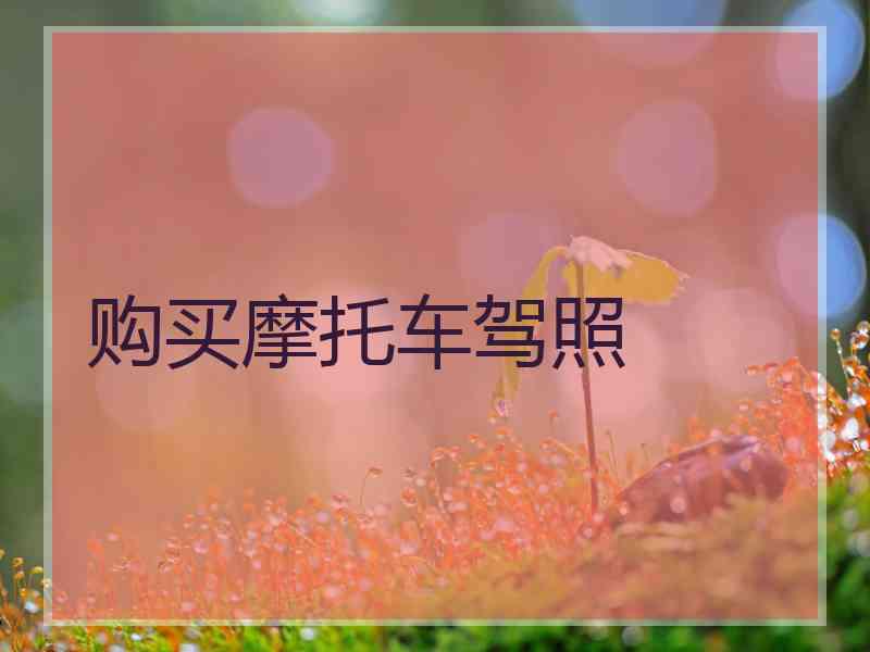 购买摩托车驾照