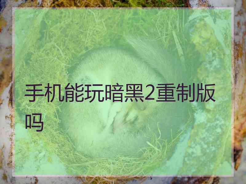 手机能玩暗黑2重制版吗