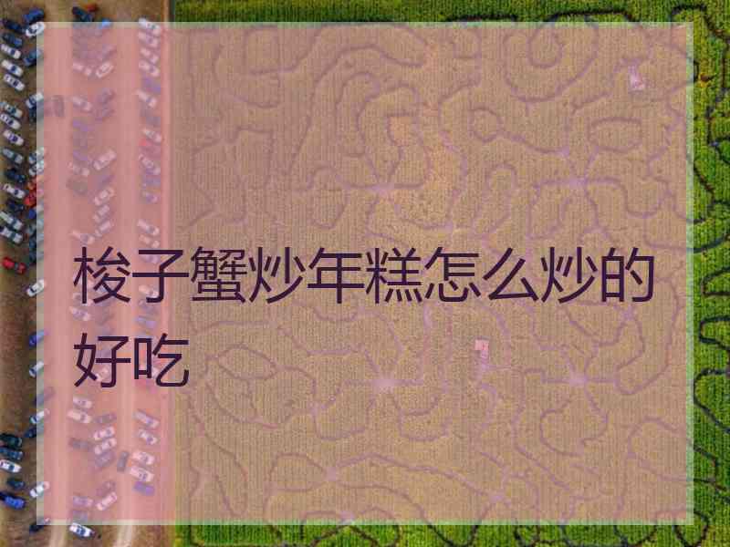 梭子蟹炒年糕怎么炒的好吃