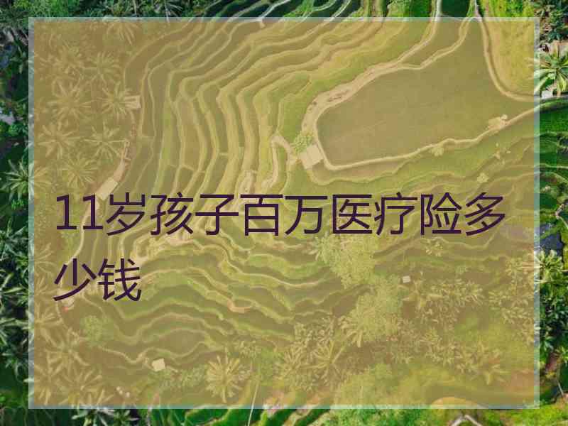 11岁孩子百万医疗险多少钱