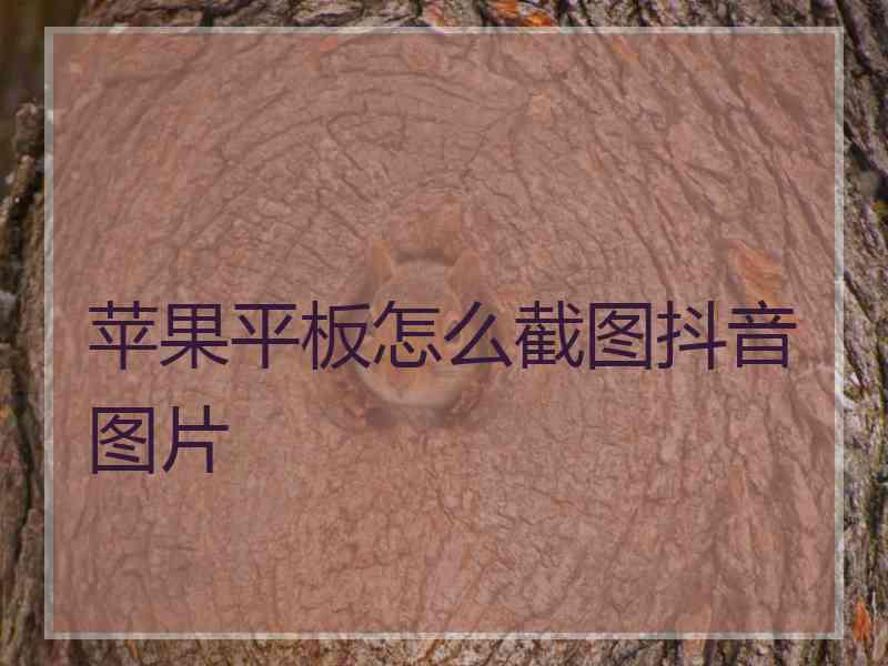 苹果平板怎么截图抖音图片