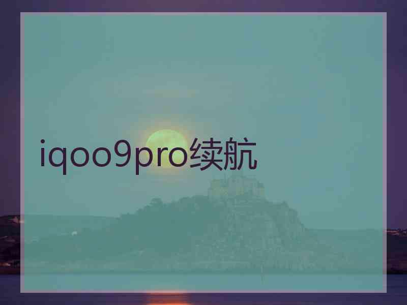 iqoo9pro续航