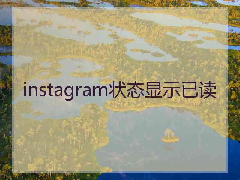 instagram状态显示已读