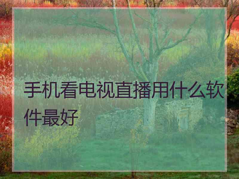 手机看电视直播用什么软件最好