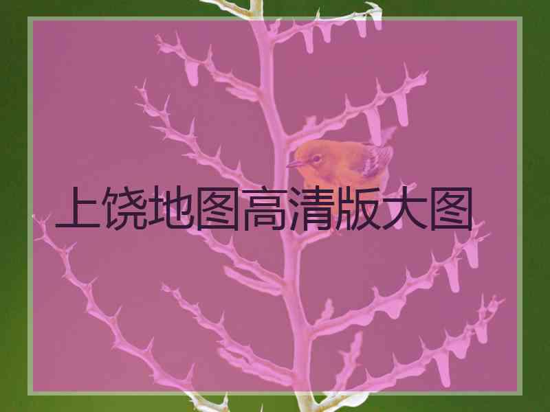 上饶地图高清版大图