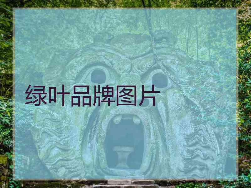 绿叶品牌图片