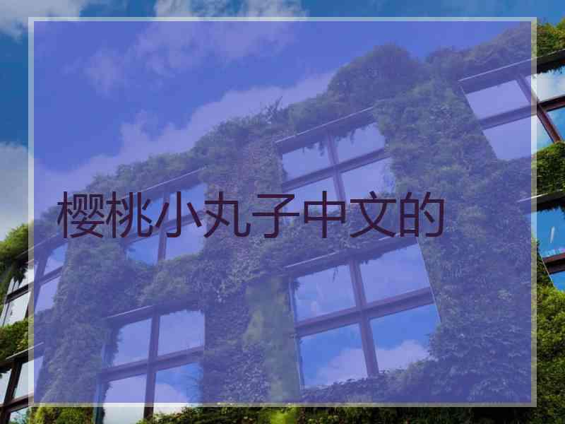 樱桃小丸子中文的