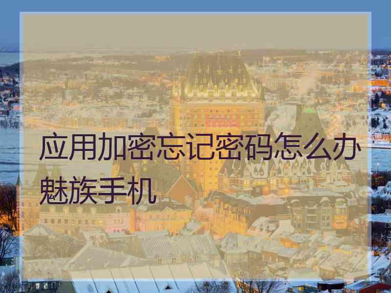 应用加密忘记密码怎么办魅族手机