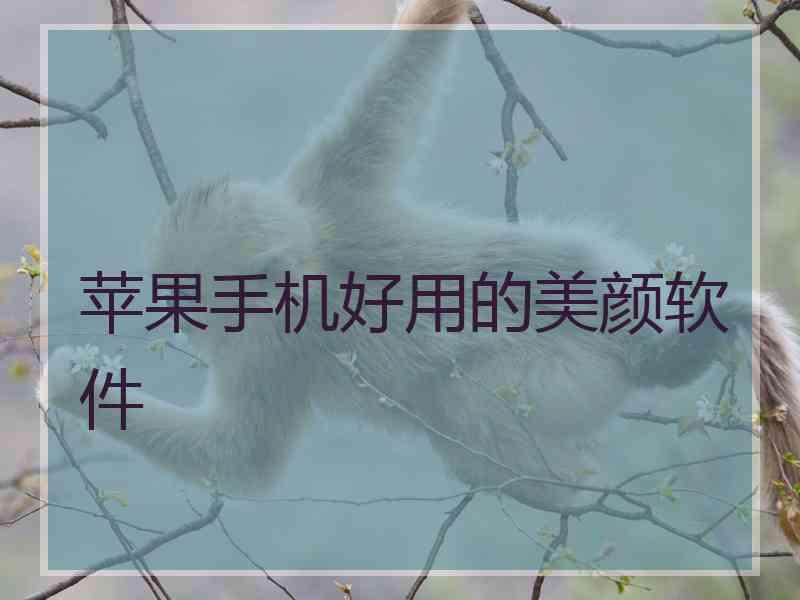 苹果手机好用的美颜软件