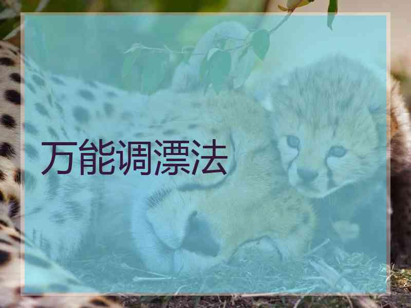 万能调漂法