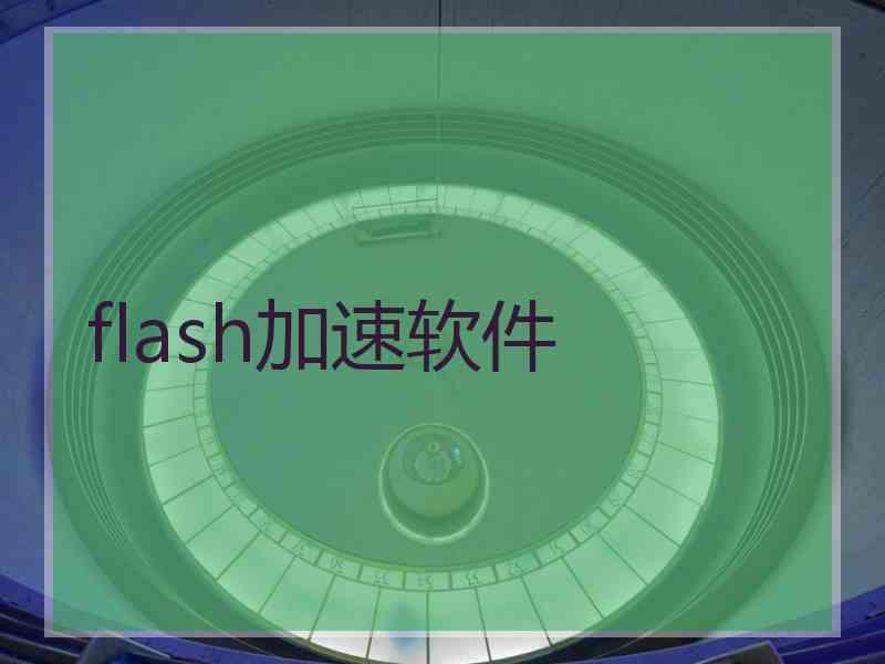 flash加速软件