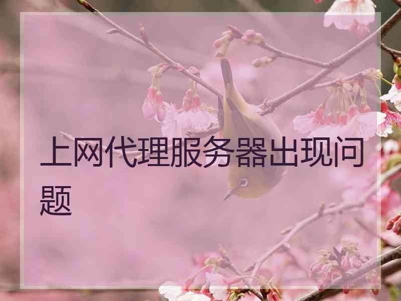 上网代理服务器出现问题