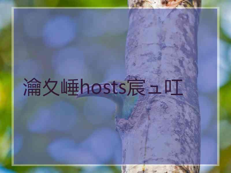 瀹夊崜hosts宸ュ叿