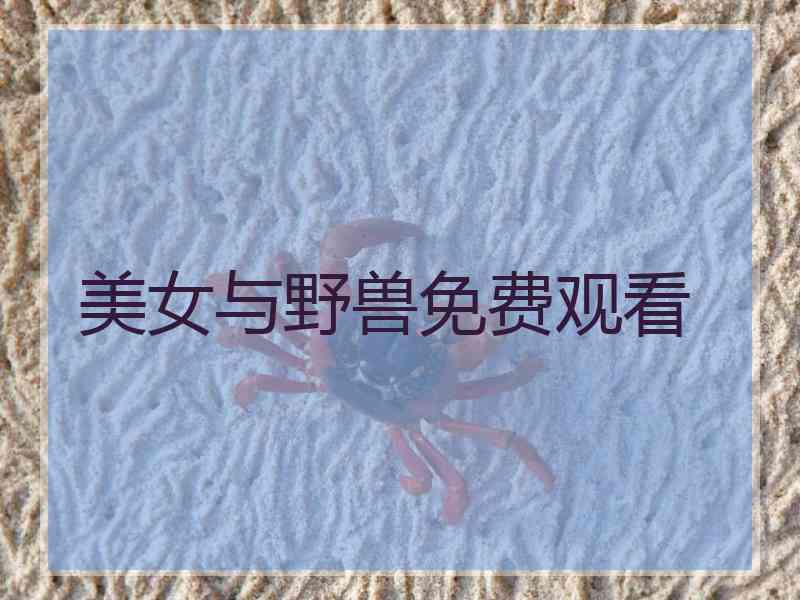 美女与野兽免费观看