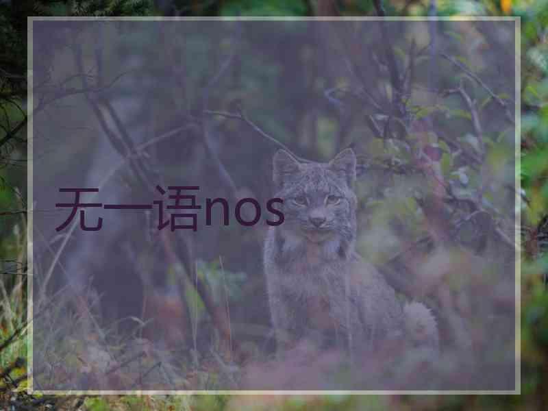 无一语nos
