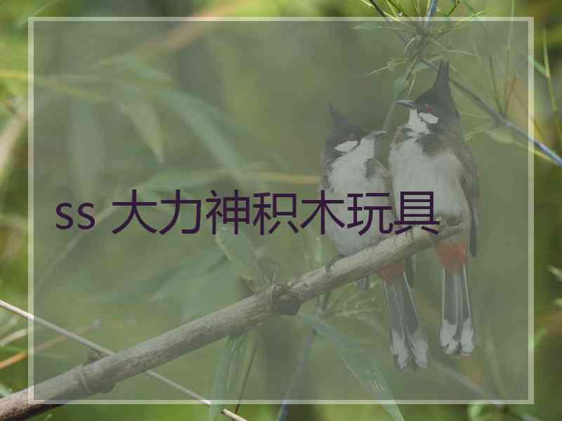 ss 大力神积木玩具