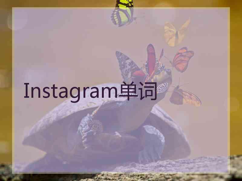 Instagram单词