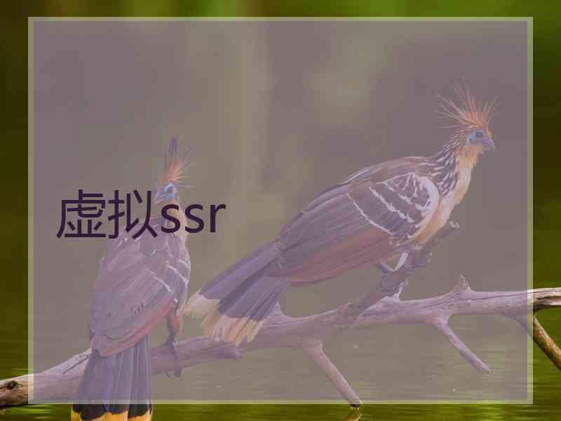 虚拟ssr
