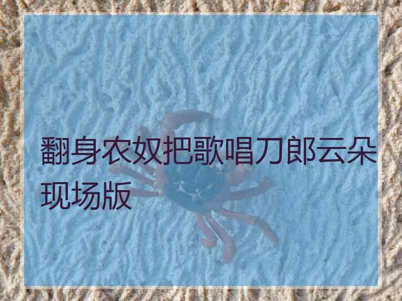 翻身农奴把歌唱刀郎云朵现场版