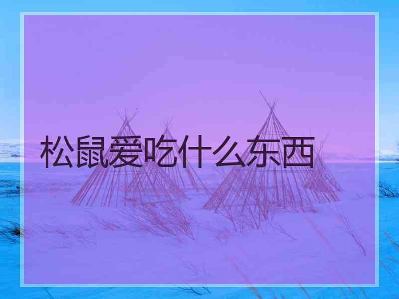 松鼠爱吃什么东西