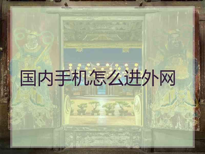 国内手机怎么进外网