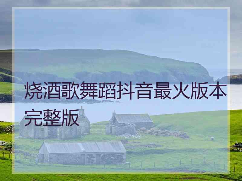 烧酒歌舞蹈抖音最火版本完整版