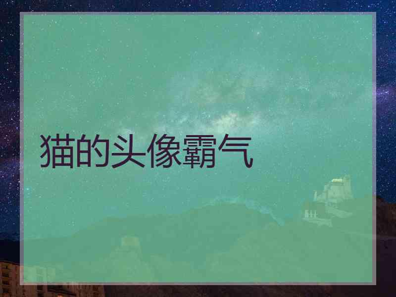 猫的头像霸气