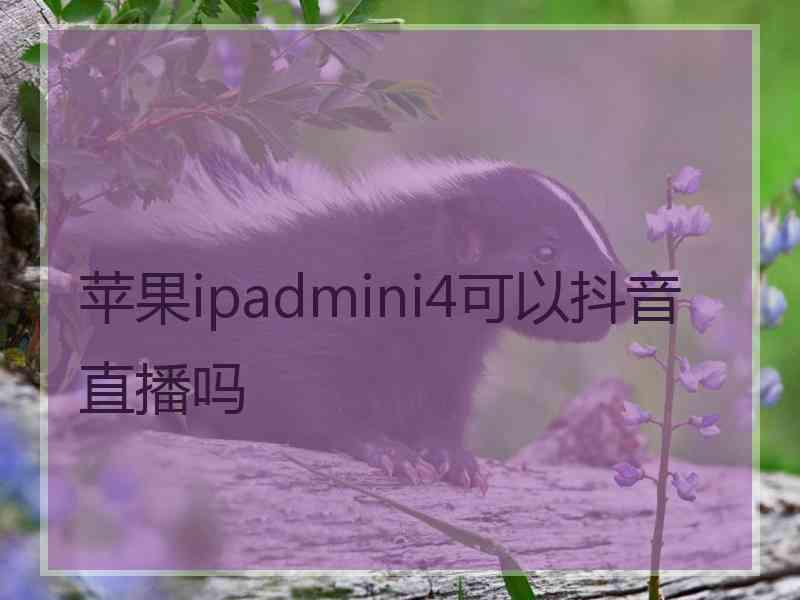 苹果ipadmini4可以抖音直播吗