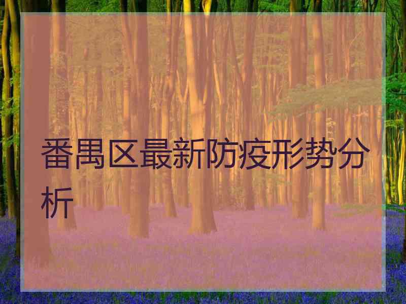 番禺区最新防疫形势分析