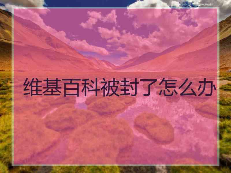 维基百科被封了怎么办