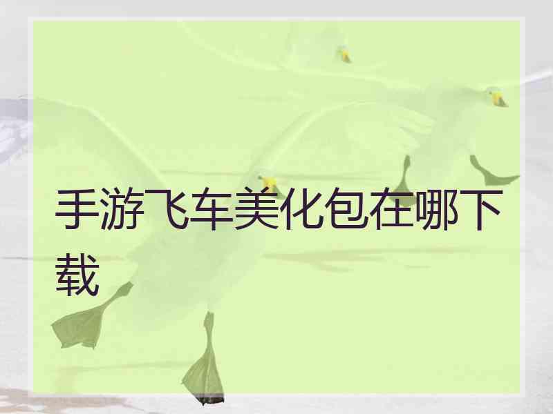 手游飞车美化包在哪下载