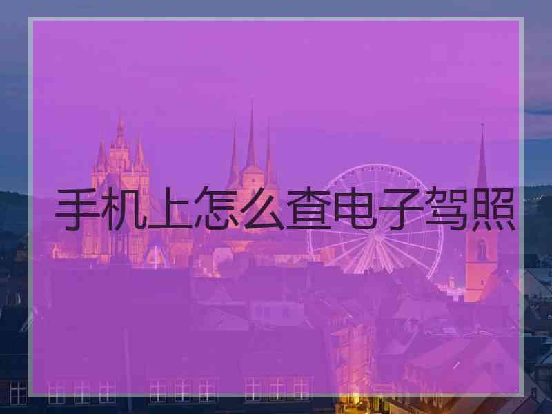 手机上怎么查电子驾照