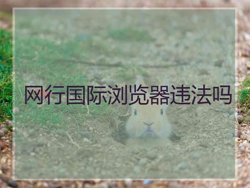 网行国际浏览器违法吗