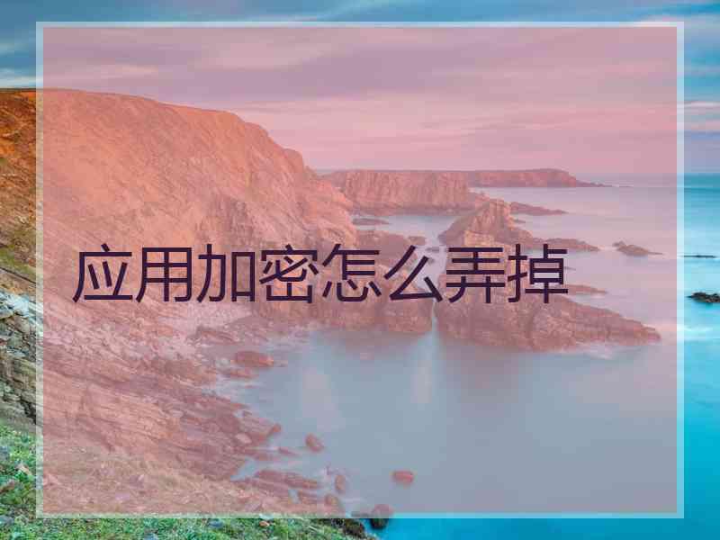 应用加密怎么弄掉